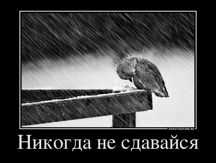 Картинки с надписью плохо тебе, оптом
