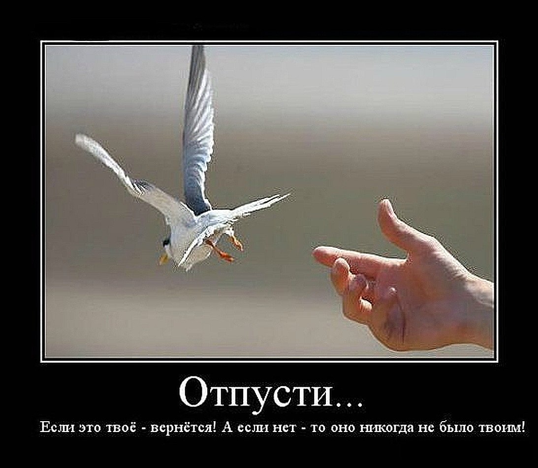 Днем рождения, картинки с надписями отпусти меня