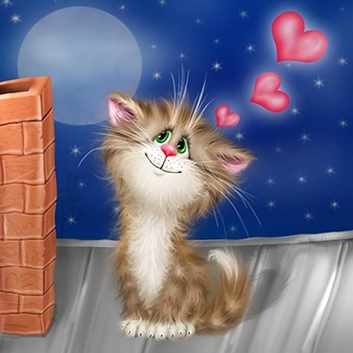 Открытки про котов