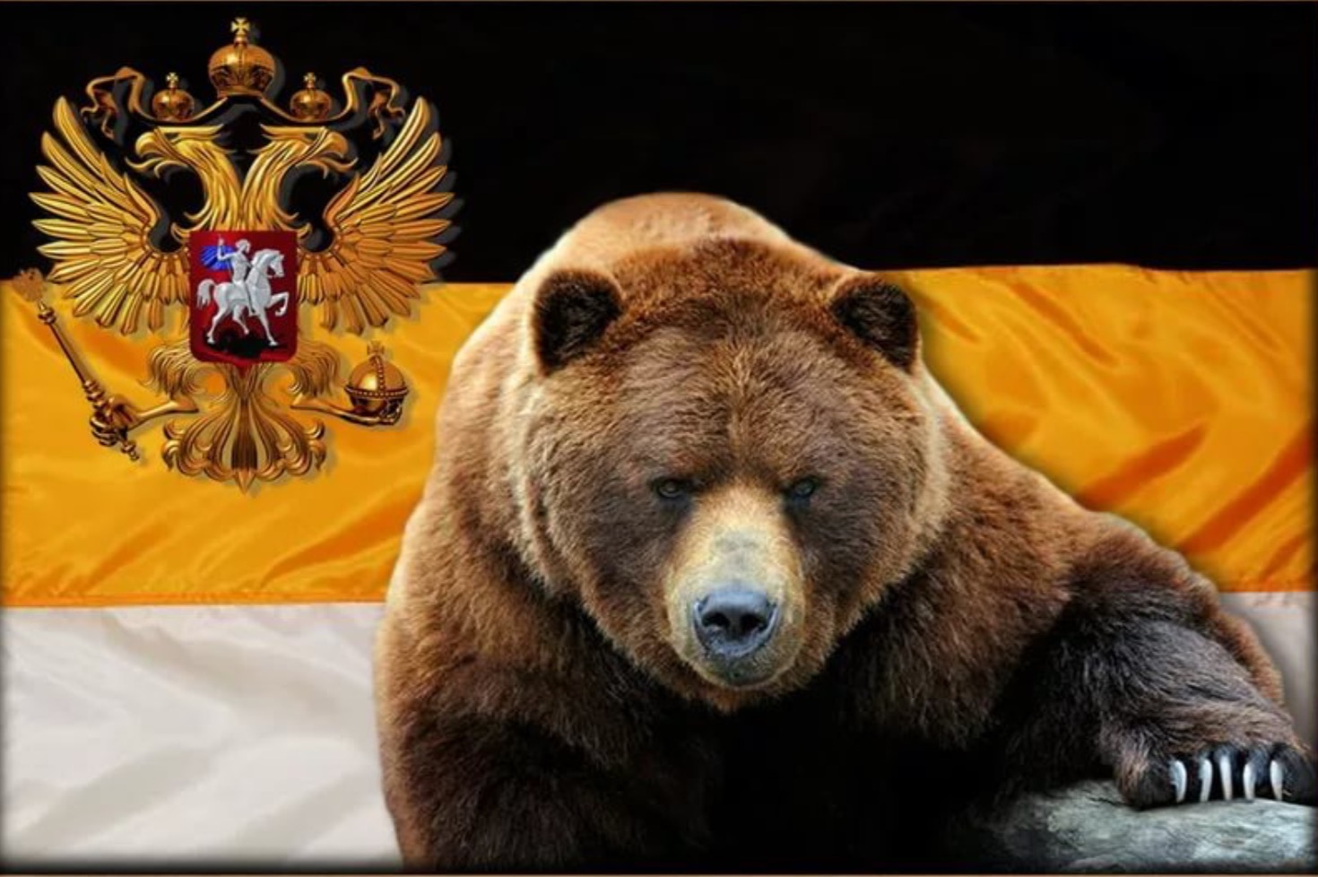 Картинки на телефон россия медведь