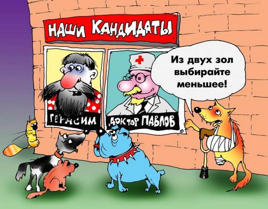 Картинки про выборы смешные, днем свадьбы