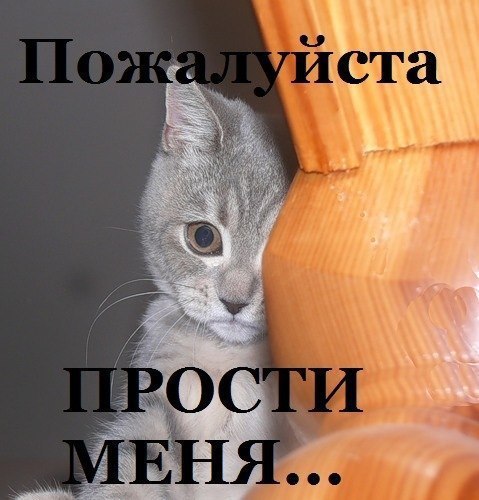 Картинки с надписью прости но я люблю тебя