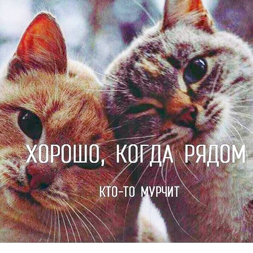 Ну как ты там открытка