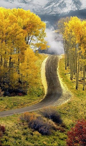 Осенний лист