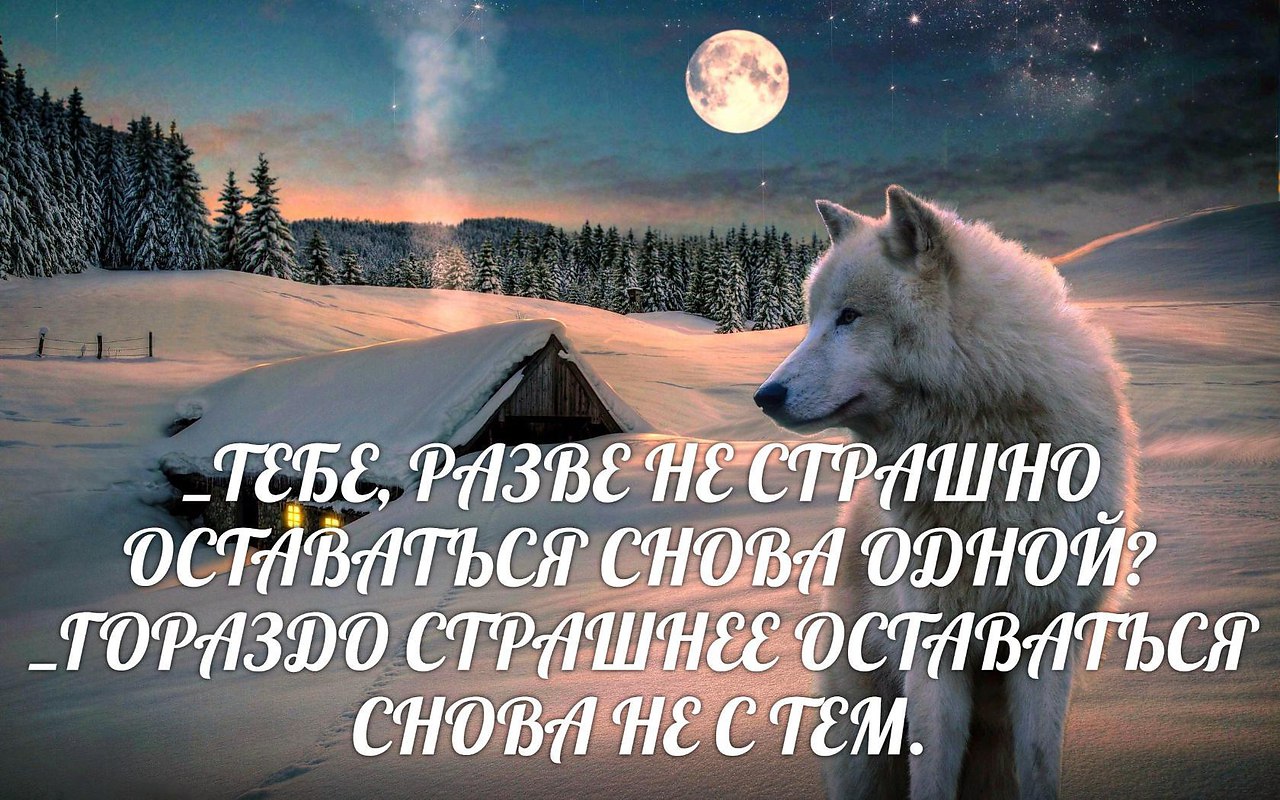 Картинки с надписями про волчицу