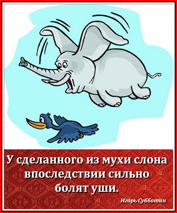 Картинка с мухой я слон