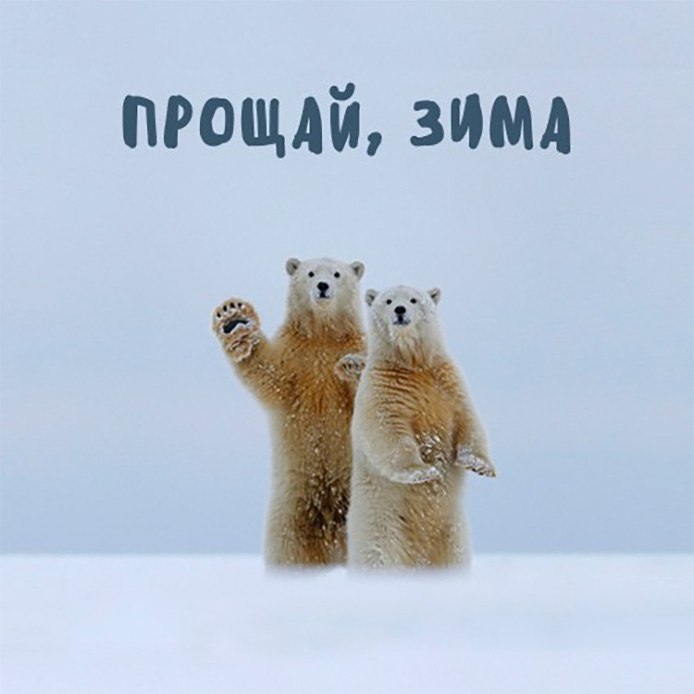 Прикольные картинки прощай зима здравствуй весна