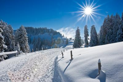 https://www.stihi.ru/pics/2018/03/06/1554.jpg
