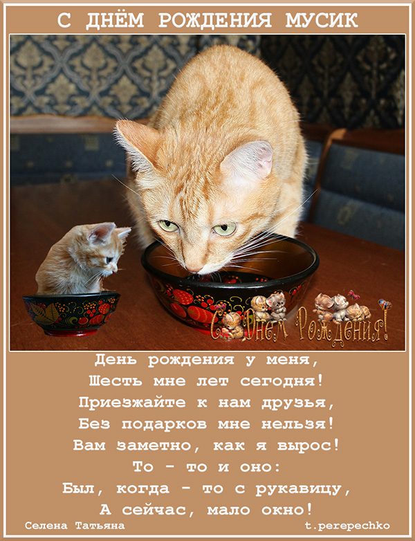 Сай бабы, говорящие открытки муся и мусик