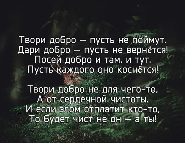 Приватная открытка дари добро и оно к тебе возвратиться с собакой