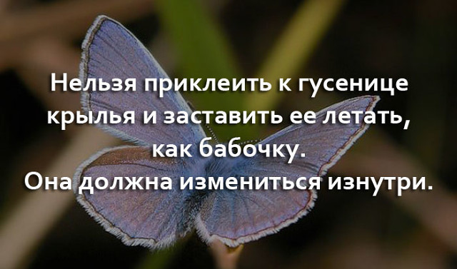 https://www.stihi.ru/pics/2018/05/21/272.jpg