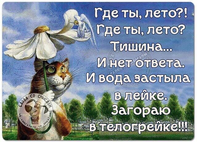 Картинки где же ты лето
