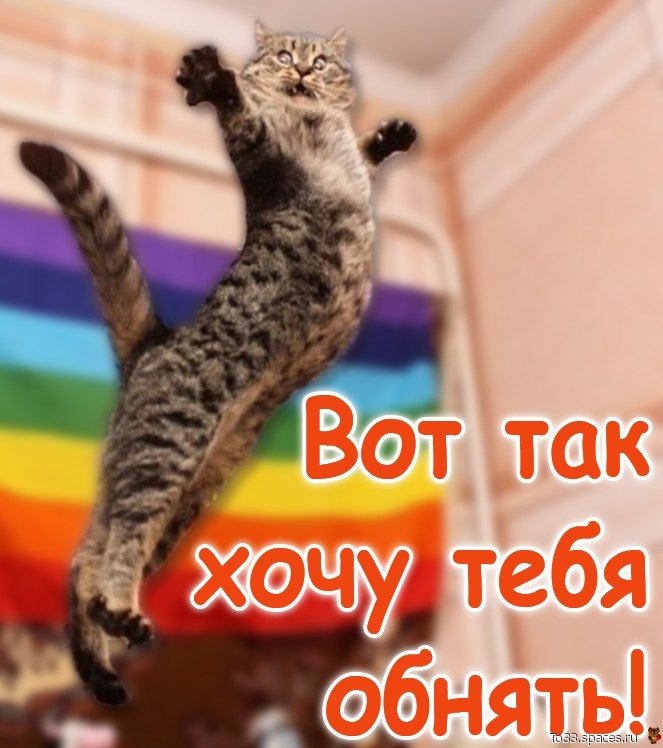 Вот так обнять и поцеловать картинки, натальей орейро
