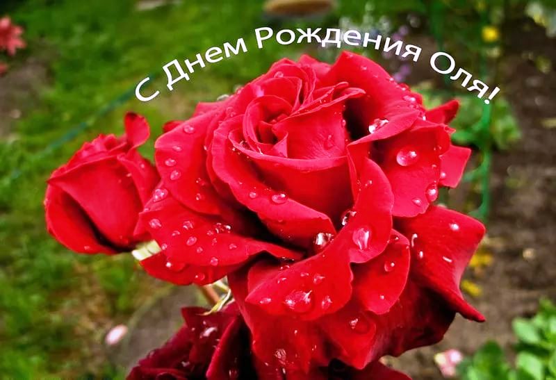 С днем рождения ольга веселые картинки