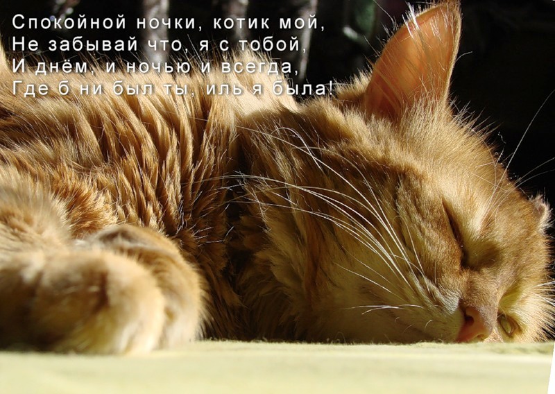 �������� ��� ��� �����, ���� ��������� ��������