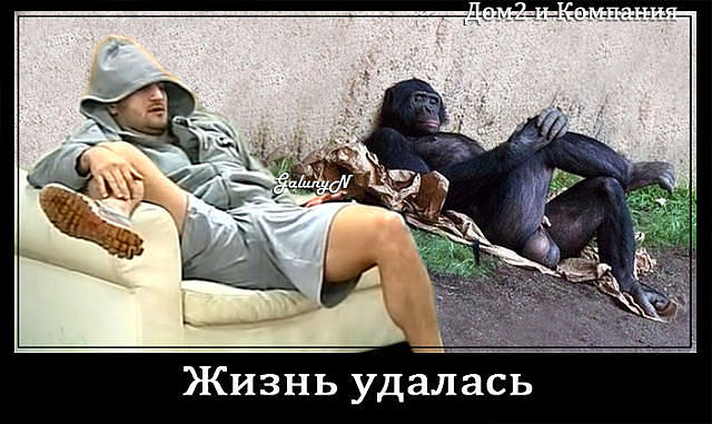 Картинки жизнь удалась и все прекрасно мужская, своими руками