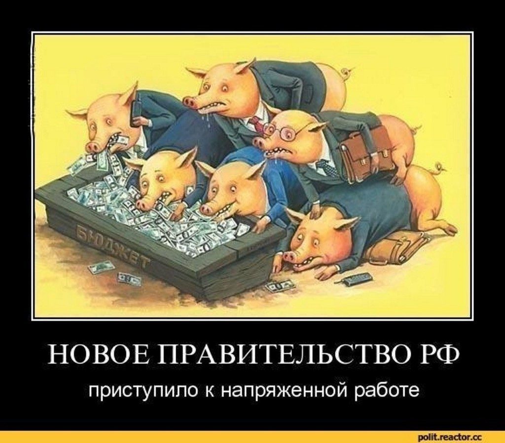 Прикольные высказывания на картинках про наше правительство, открытки новым годом