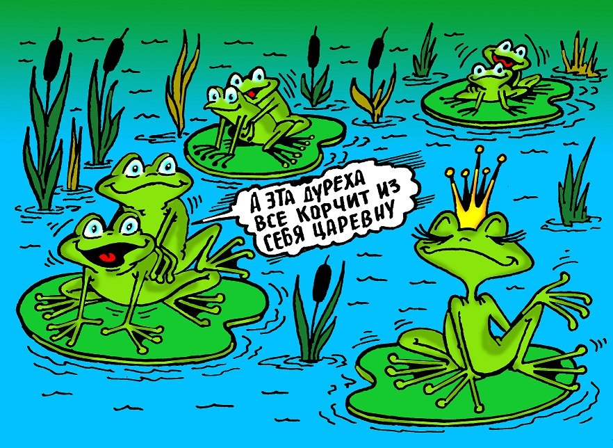 Приколы про лягушку картинки