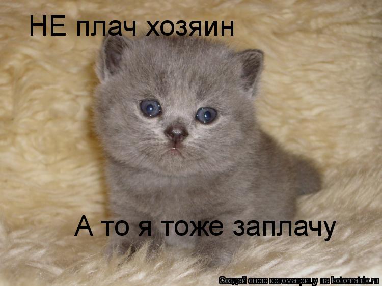 Надписью, картинки с надписью нет плачь