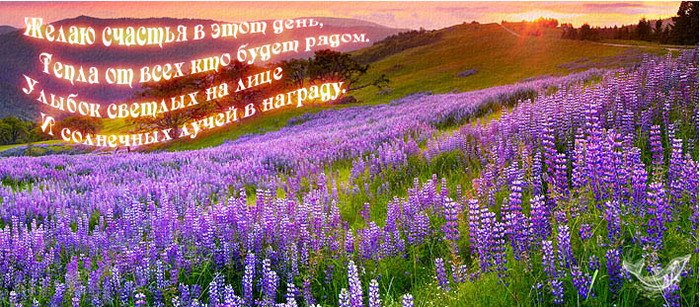 Картинки природы поздравления с днем рождения