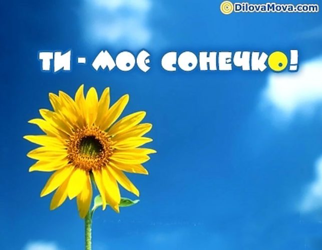 Открытки ты мое сонечко