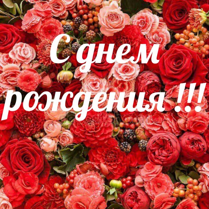 Mamulya S Dnem Rozhdeniya Tebya Nastasya Olesandrovna Prihodko