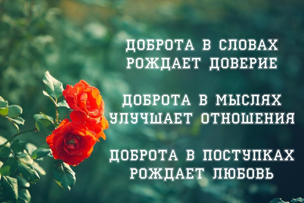 Отправить, картинки мудрые слова с надписью