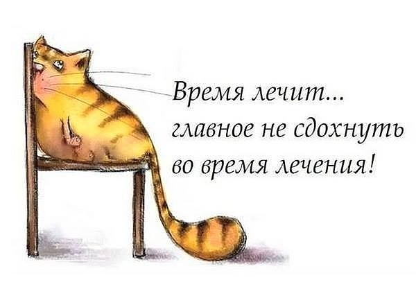 Смешные картинки время лечить