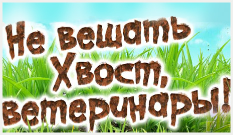 Поздравления с Днем ветеринара 2019 – открытки и тексты прикольные и яркие Поздравления с Днем ветеринара 2019 – открытки и тексты прикольные и яркие