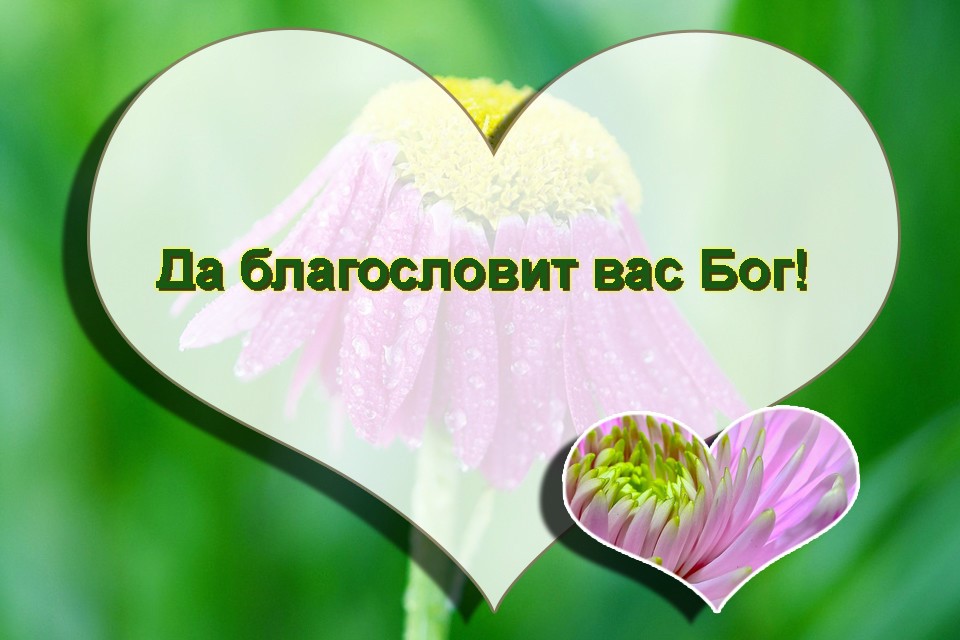 Полугодиком для, пусть бог благословит открытки