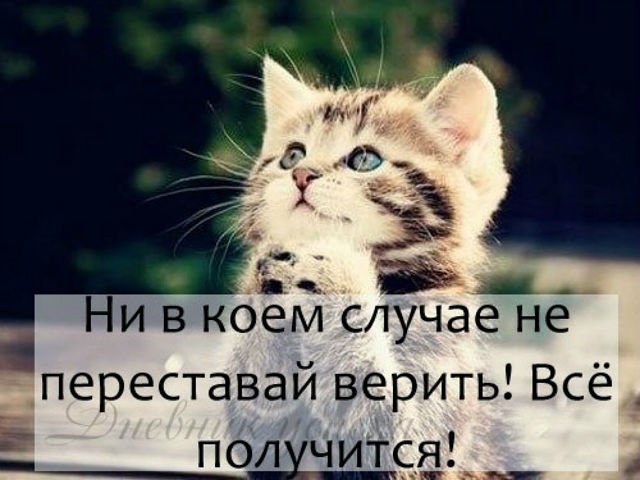 Открытки верь надейся и жди