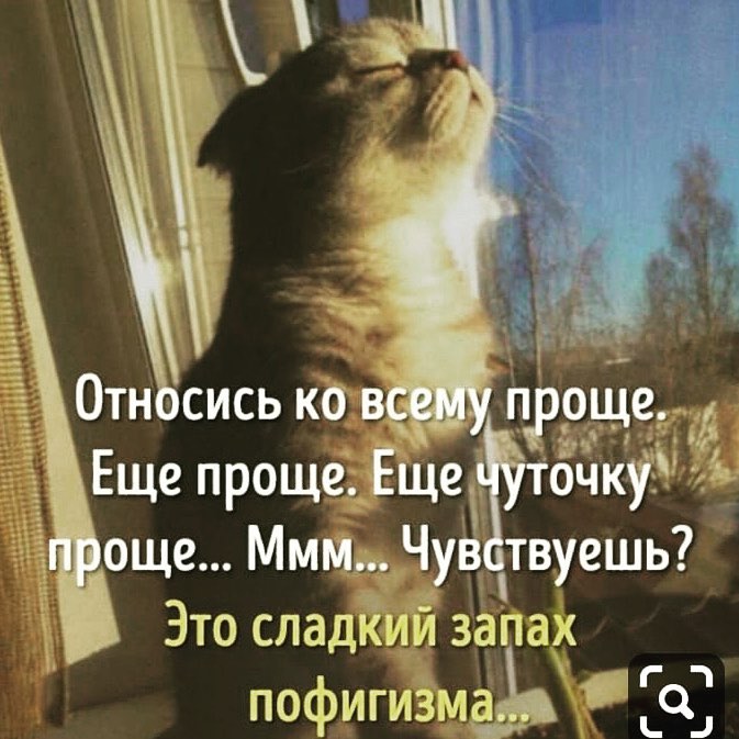 Картинка с надписью пофигистка, днем рождения фото