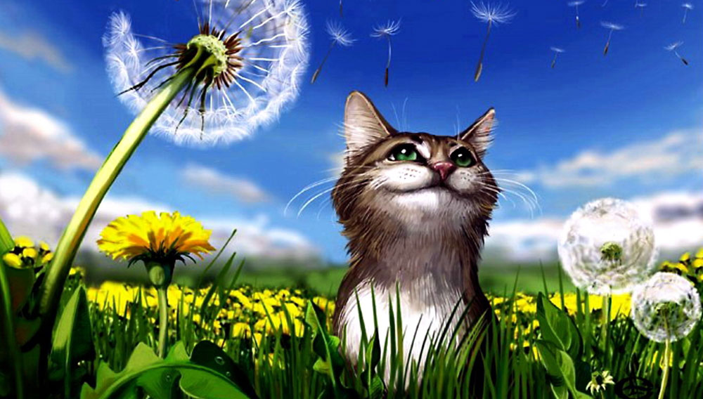 �������� � ������� ����� � ������, ������� �������� ����