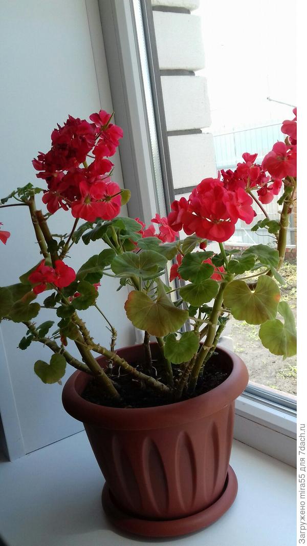 &ETH;&ETH;&frac34;&Ntilde;&ETH;&frac34;&ETH;&para;&ETH;&micro;&ETH;&micro; &ETH;&cedil;&ETH;&middot;&ETH;&frac34;&ETH;&plusmn;&Ntilde;&ETH;&deg;&ETH;&para;&ETH;&micro;&ETH;&frac12;&ETH;&cedil;&ETH;&micro;