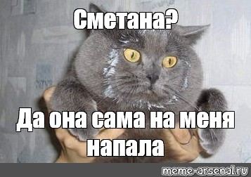 Охота за мышкой. Стихопазлы