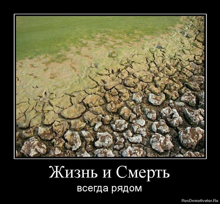 Открытка поздравления, картинки смерть и жизнь с надписями