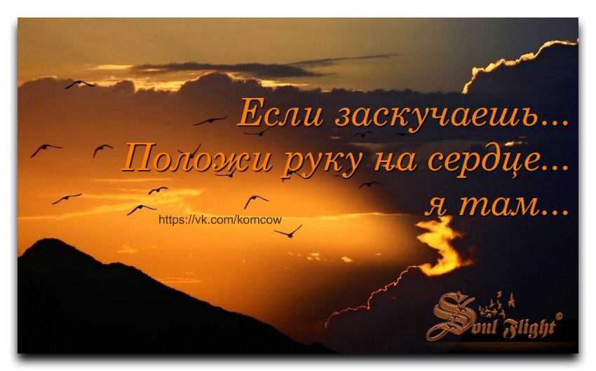 Сделать, открытки с умными мыслями о любви