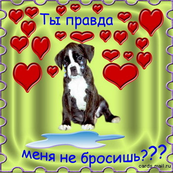 Открытка бросил любимый, спасибо