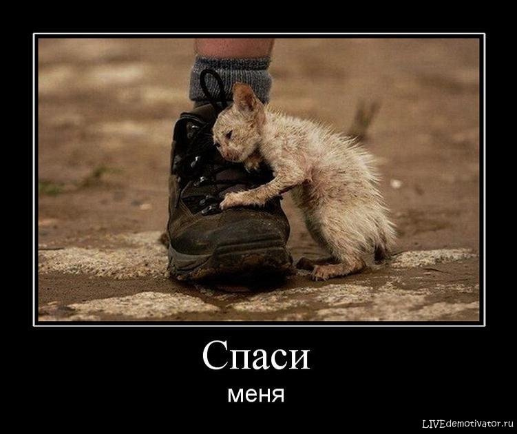 Быть спасателем не так и просто