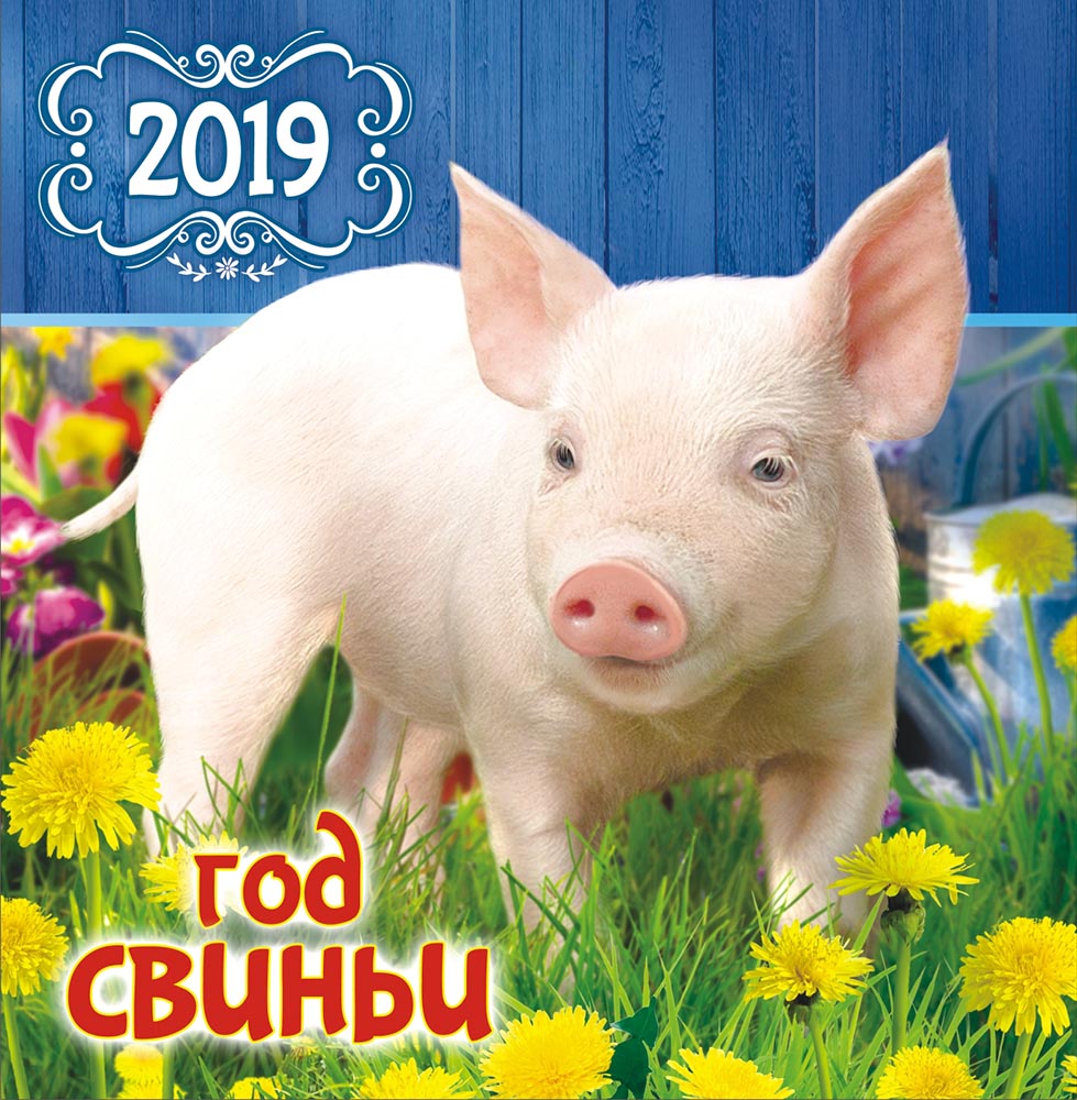 Смешные картинки идет год свиньи, машины