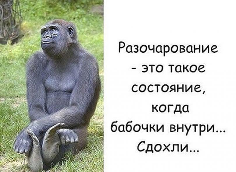 Смешные картинки с надписями до слез для поднятия настроения про новый, бывают позы постелях