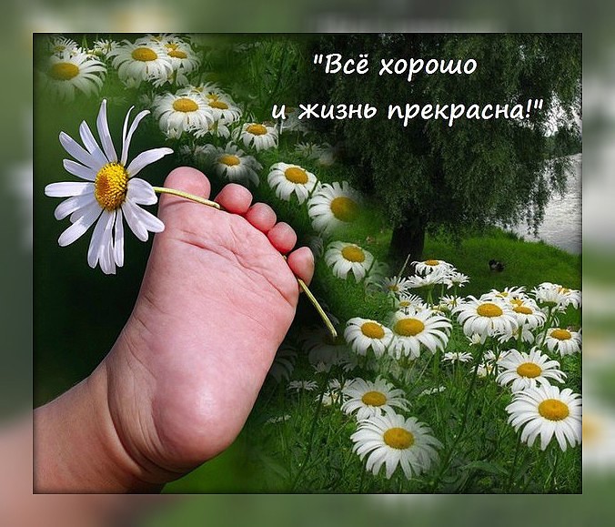 Жизнь хороша открытка