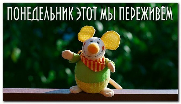 Долгая дорога с пересадкой
