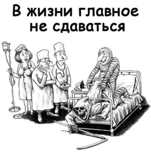 Прикольные картинки в жизни главное не здаваться, рассвет