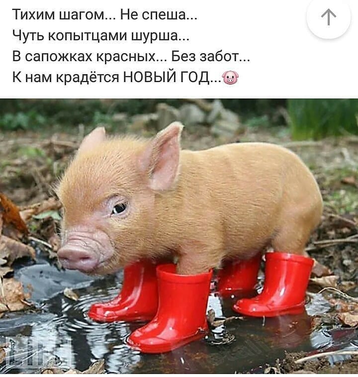 Везде