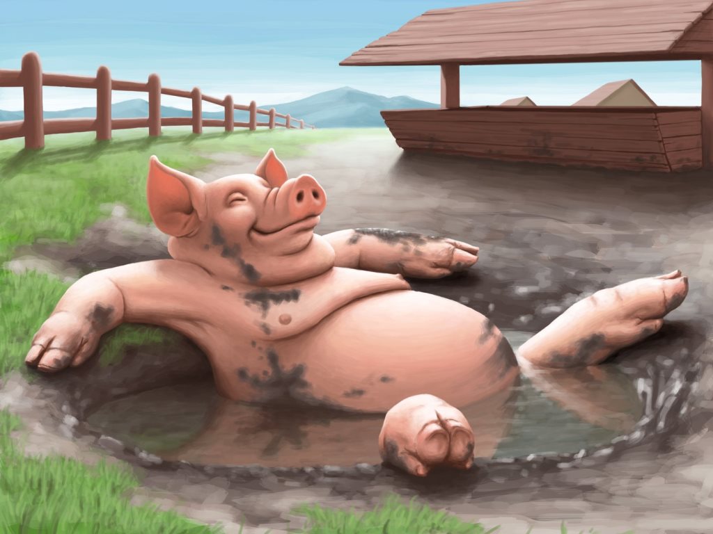 Смешные картинки свинья в грязи