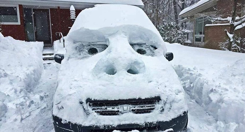 Зимние приколы картинки, картинки
