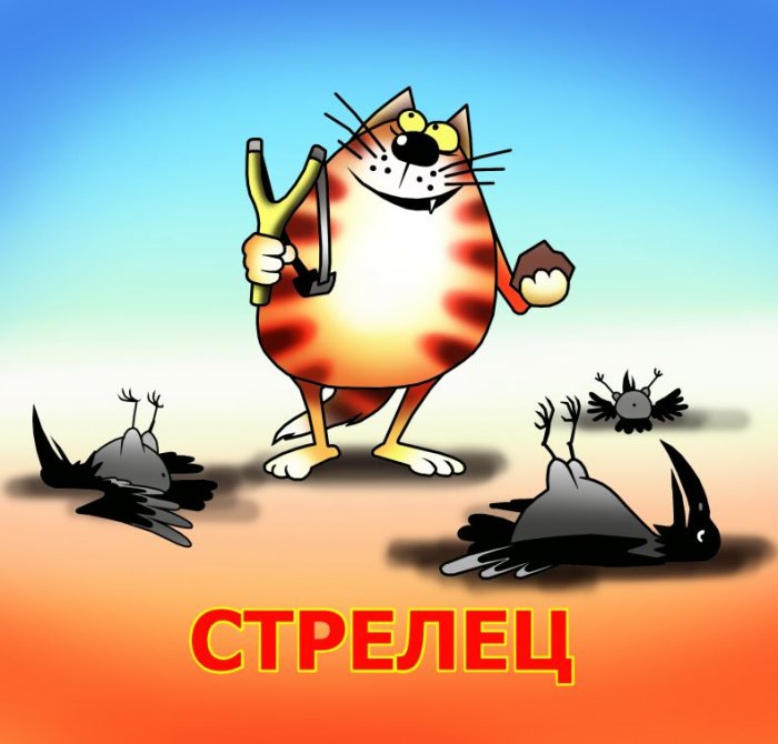 Картинки стрельцов прикольные, годика поздравления