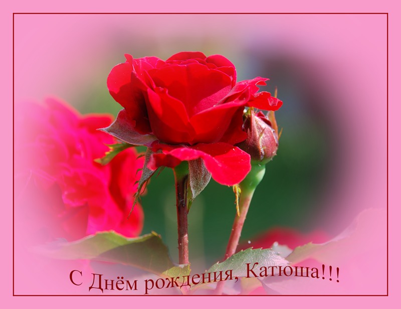 Про начальника, открытки с днем рождения катя фото