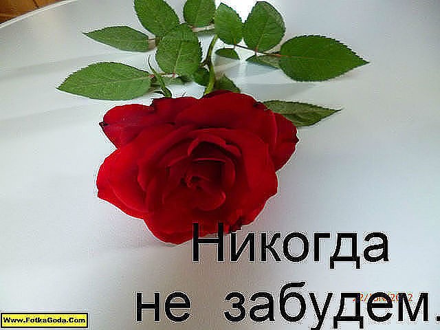 Мимимишки распечатать, открытка не забывайте одноклассников